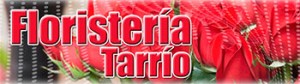 floristeria-tarrio