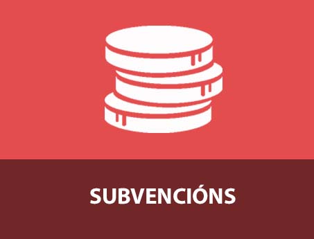 SUBVENCIÓNS
